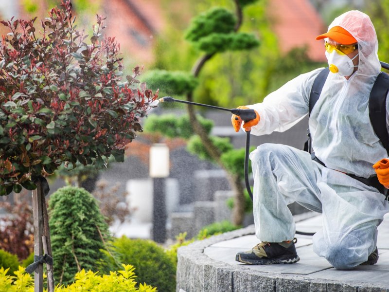 Seyitgazi Haşere İlaçlama